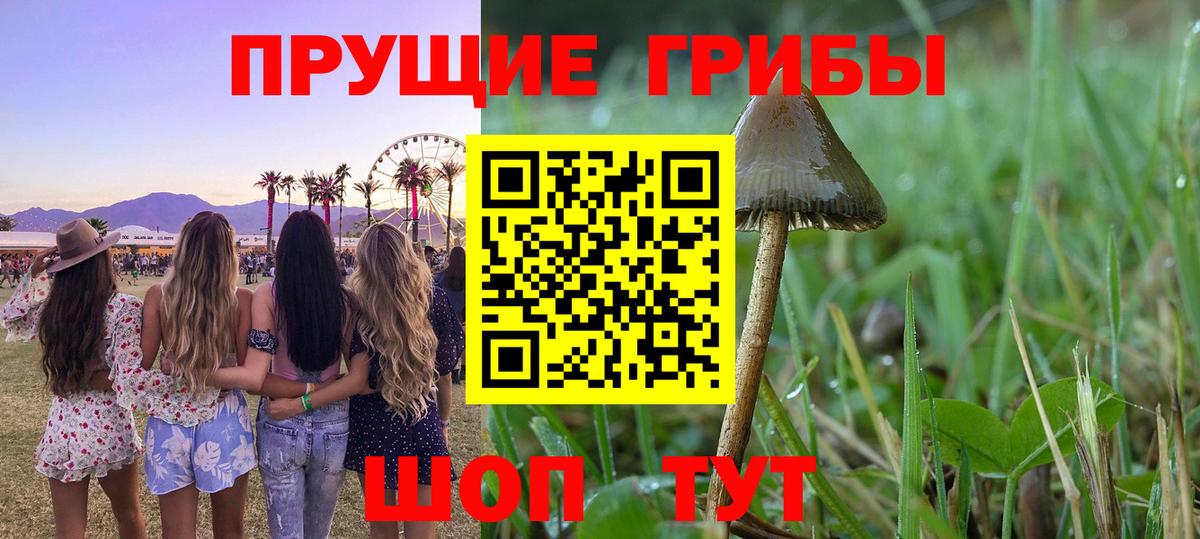 Канабис Новоуральск