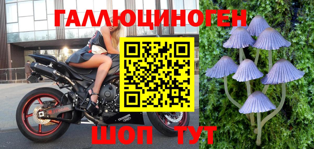 Псилоцибиновые грибы GOLDEN TEACHER Новоуральск